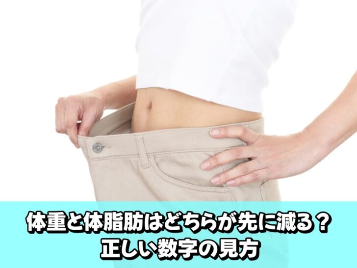 体重と体脂肪はどちらが先に減る？正しい数字の見方